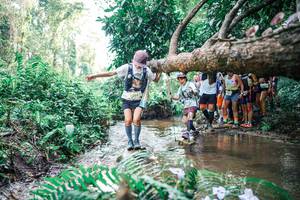 BIB: 
                            <button type="button" onclick="openModal(25472571)" class="btn btn-primary btn-sm float-right btn-popup" data-toggle="modal" data-target=".modal-high-quality">
                        <i class="fas fa-shopping-cart"></i> Add to Cart
                    </button>
                                            <button type="button" onclick="isThisMe(25472571, true)" class="btn btn-success btn-sm float-right btn-popup btn-isme hidden" data-toggle="tooltip" data-placement="bottom" title="นี่คือรูปของคุณใช่ไหม คลิกที่นี่เพื่อเอาเข้าอัลบั้ม">
                        <i class="fas fa-plus"></i> Add to album
                    </button>
                    <button type="button" onclick="isThisMe(25472571, false)" class="btn btn-warning btn-sm float-right btn-popup btn-isnotme hidden">
                        <i class="fas fa-ban"></i> Remove from album
                    </button>